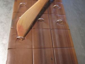 shank button tutorial 3