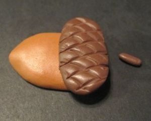acorn7