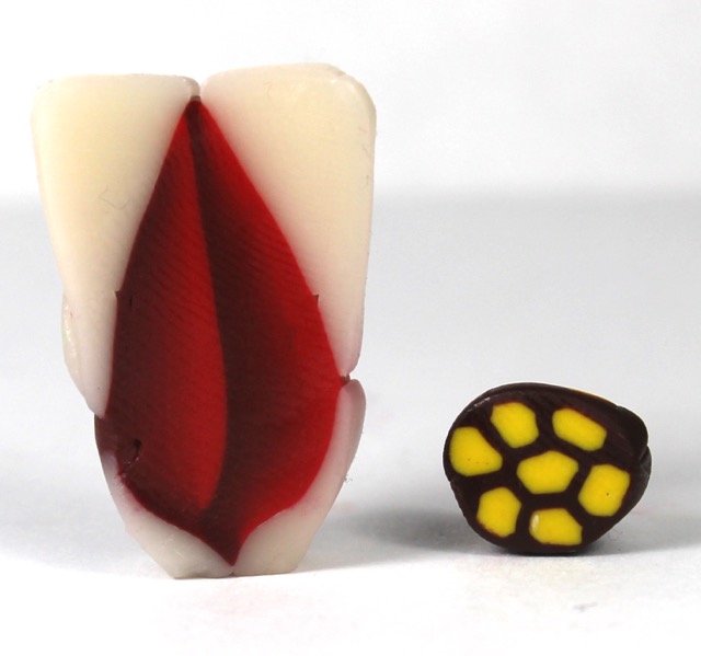 Poinsettia cane tutorial